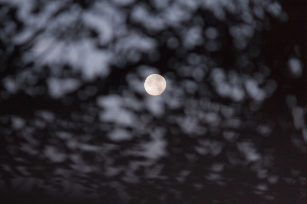 photography_moon_november_10